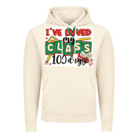Vintage Artic i've loved my class 100 days Vintage Hoodie - MaliasSmallBusiness