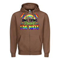 Chestnut Let's get one thing straight i'm not Pride LGBTQ+ Zipper Hoodie - NancyCooperArtShop