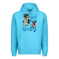 Ice Ice Baby Premium Hoodie | Teevron