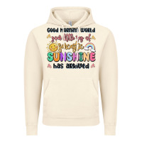 Vintage Artic good morning world your little ray of sarcastic Vintage Hoodie - MaliasSmallBusiness