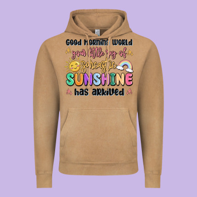 Good Morning World Your Little Ray Of Sarcastic Vintage Hoodie Designed By Maliassmallbusiness