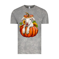 Cloud Rock fall pumpkin lamb nancy cooper Vintage Tee - NancyCooperArtShop