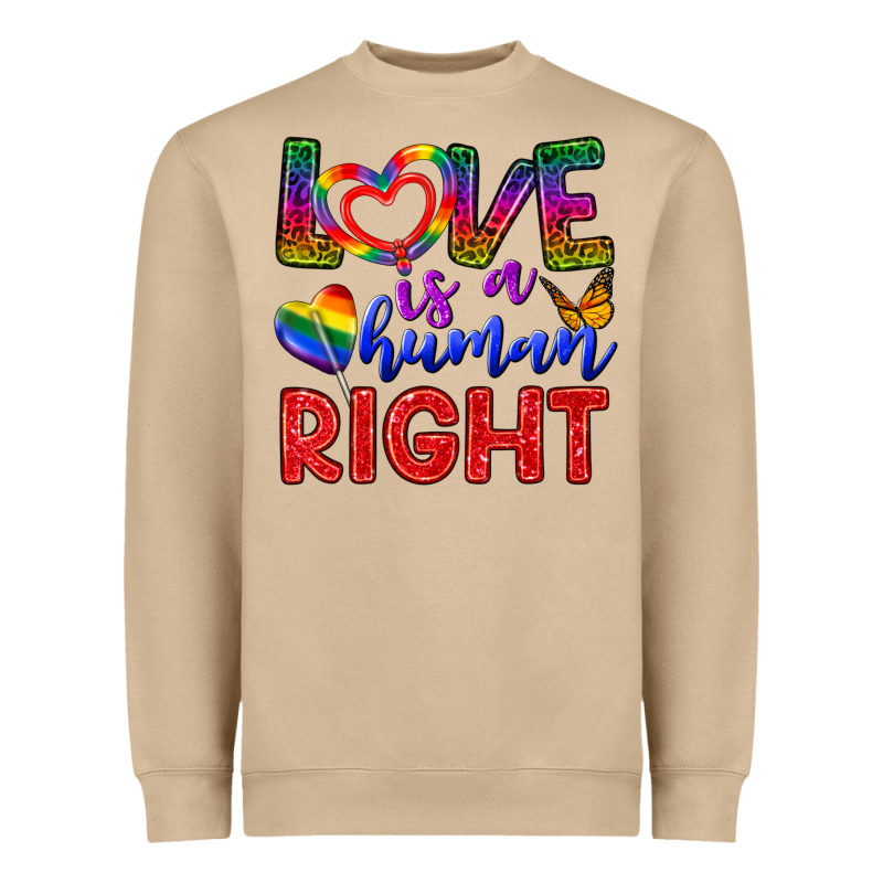 Love İs A Human Right Heavyweight Sweatshirt by BundleAndBundleShop | Teevron