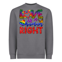 Storm Love İs a Human Right Heavyweight Sweatshirt - BundleAndBundleShop