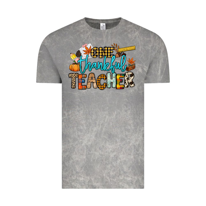 One Thankful Teacher Vintage Tee by NancyCooperArtShop | Teevron