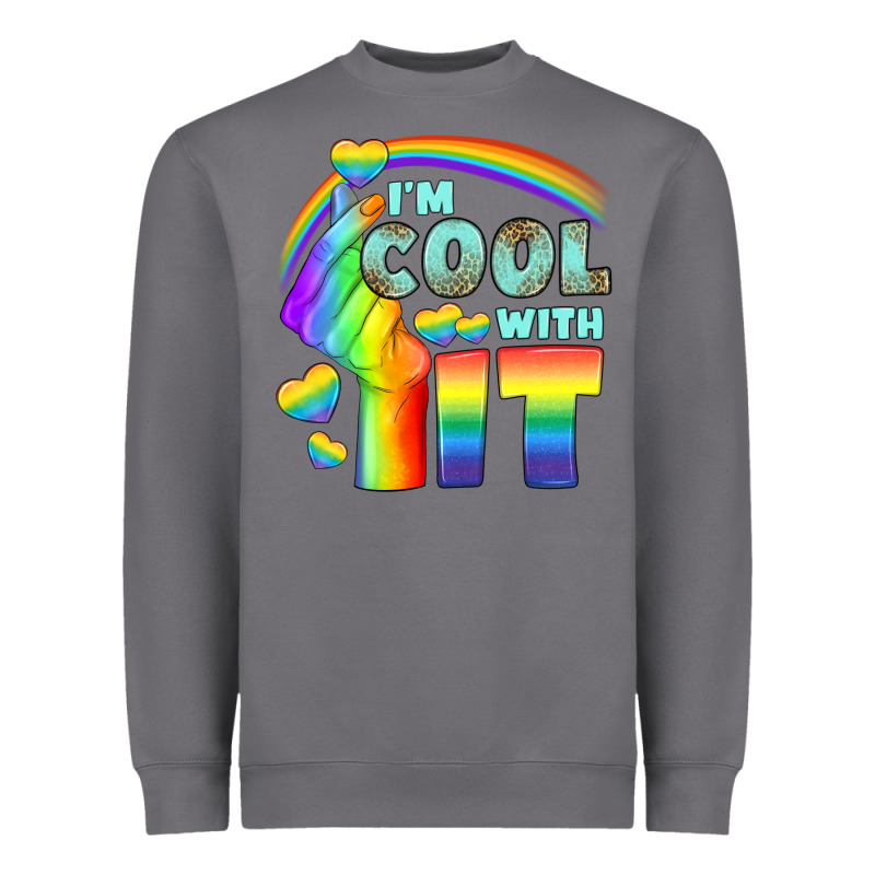 Lgbtq İ'm Cool With İt Heavyweight Sweatshirt by BundleAndBundleShop | Teevron