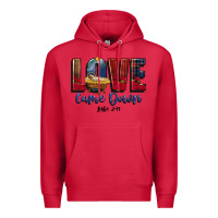 Cardinal love came down luke 2 11 Premium Hoodie - CowGirlArtShop