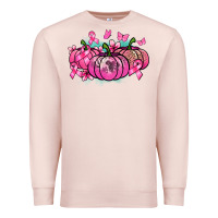 Pale Pink Cancer pumpkins Cancer Awareness Premium Sweatshirt - HowdyJamesFarm
