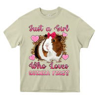 Mossy Just A Girl Love Who Loves Guinea Pigs Heavy Core Tee - Artiststas