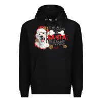 Black i believe in santa paws Premium Hoodie - CowGirlArtShop