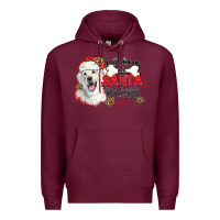 Burgundy i believe in santa paws Premium Hoodie - CowGirlArtShop