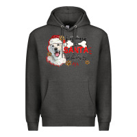 Charcoal Heather i believe in santa paws Premium Hoodie - CowGirlArtShop