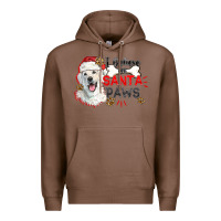 Chestnut i believe in santa paws Premium Hoodie - CowGirlArtShop