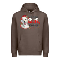 Coffee i believe in santa paws Premium Hoodie - CowGirlArtShop
