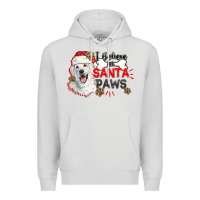 Dove Grey i believe in santa paws Premium Hoodie - CowGirlArtShop