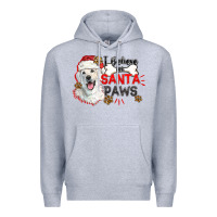 Heather Grey i believe in santa paws Premium Hoodie - CowGirlArtShop
