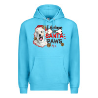 Ocean Blue i believe in santa paws Premium Hoodie - CowGirlArtShop
