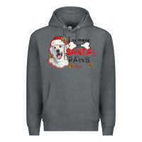 I Believe In Santa Paws Premium Hoodie | Teevron