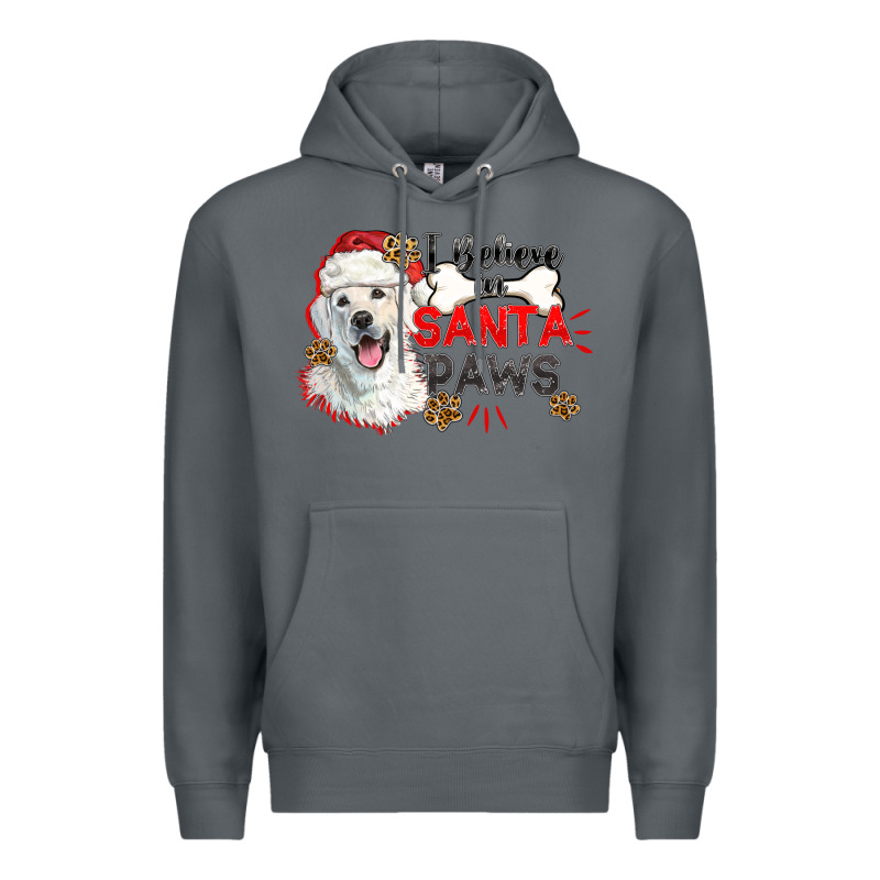 I Believe In Santa Paws Premium Hoodie by CowGirlArtShop | Teevron