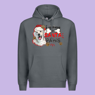 I Believe In Santa Paws Premium Hoodie Designed By Cowgirlartshop