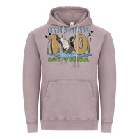 Vintage Zinc flying into 100 days of school Vintage Hoodie - MaliasSmallBusiness