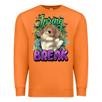 Carrot Easter spring break Easter Day Premium Sweatshirt - HowdyJamesFarm