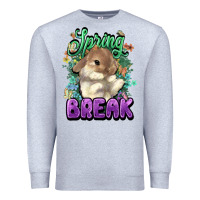 Heather Grey Easter spring break Easter Day Premium Sweatshirt - HowdyJamesFarm