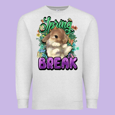 Easter Spring Break Easter Day Premium Sweatshirt Designed By Howdyjamesfarm
