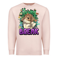 Pale Pink Easter spring break Easter Day Premium Sweatshirt - HowdyJamesFarm