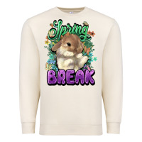 Sandshell Easter spring break Easter Day Premium Sweatshirt - HowdyJamesFarm