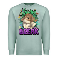 Seafoam Easter spring break Easter Day Premium Sweatshirt - HowdyJamesFarm