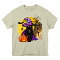 Mossy black witch cat coffin and moon Heavy Core Tee - BundleAndBundleShop