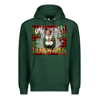 Sports Green omg santa i know him elf Premium Hoodie - CowGirlArtShop