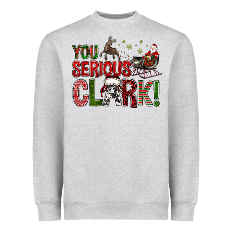 You Serious Clark With Santa Sleigh Heavyweight Sweatshirt by BundleAndBundleShop | Teevron