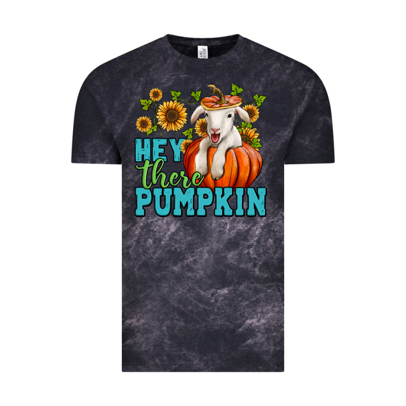 Hey There Pumpkin Lamb Vintage Tee by NancyCooperArtShop | Teevron
