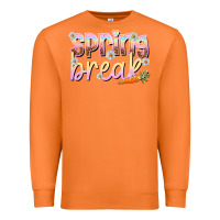 Carrot Spring break Easter Day Premium Sweatshirt - HowdyJamesFarm