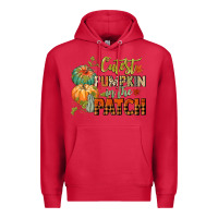 Cardinal cutest pumpkin in the patch Premium Hoodie - CowGirlArtShop