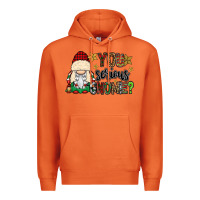 Carrot you serious gnomie Premium Hoodie - CowGirlArtShop
