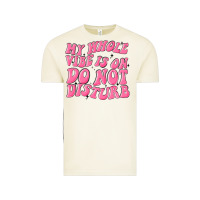 Vintage Arctic my whole vibes on do not disturb Vintage Tee - MaliasSmallBusiness