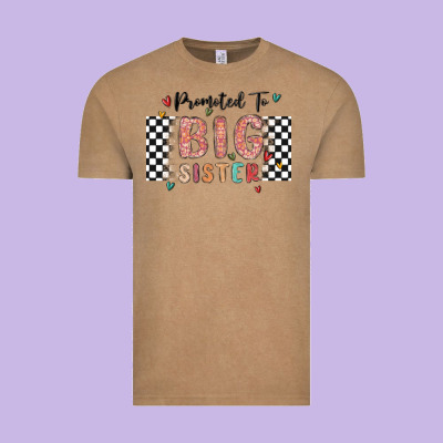 Promoted To Big Sister Vintage Tee Designed By Maliassmallbusiness