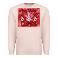 Pale Pink Hey there Cupids with gnomies tumbler Premium Sweatshirt - HowdyJamesFarm