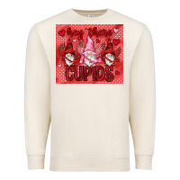 Sandshell Hey there Cupids with gnomies tumbler Premium Sweatshirt - HowdyJamesFarm