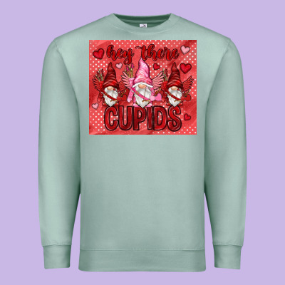 Hey There Cupids With Gnomies Tumbler Premium Sweatshirt Designed By Howdyjamesfarm