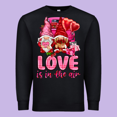 Love Is In The Air With Gnomies Valentine's Day Premium Sweatshirt Designed By Howdyjamesfarm