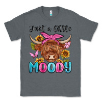 Charcoal Heather just a little moody Classic Tee - MaliasSmallBusiness