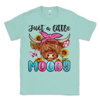 Just A Little Moody Classic Tee | Teevron