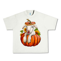 Fall Pumpkin Lamb Nancy Cooper Urban Heavy Tee | Teevron