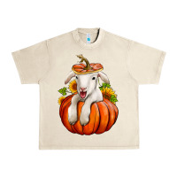 Sandshell fall pumpkin lamb nancy cooper Urban Heavy Tee - NancyCooperArtShop