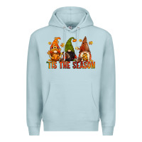 Tis The Season Gnomes Premium Hoodie | Teevron