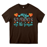 Chocolate Brown my students are the reason Heavy Core Tee - JahusDesignShop
